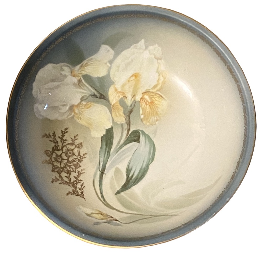 RS Silesia Germany Gold Gilt Hand Painted Tulip Porcelain Bowl c.1920s 9" - Picture 9 of 16